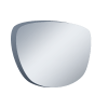 Mirrored Polarized