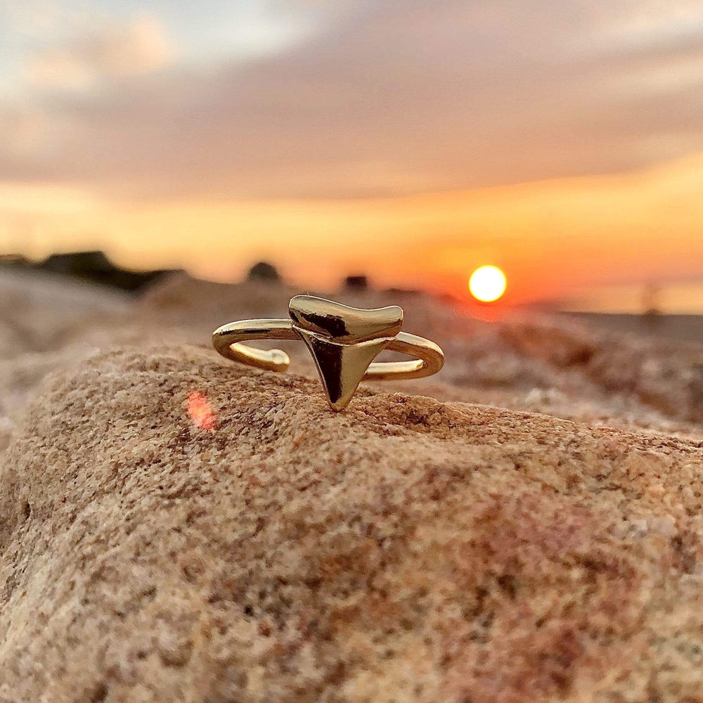 Gold Shark Tooth Ring On A Rock During Sunset