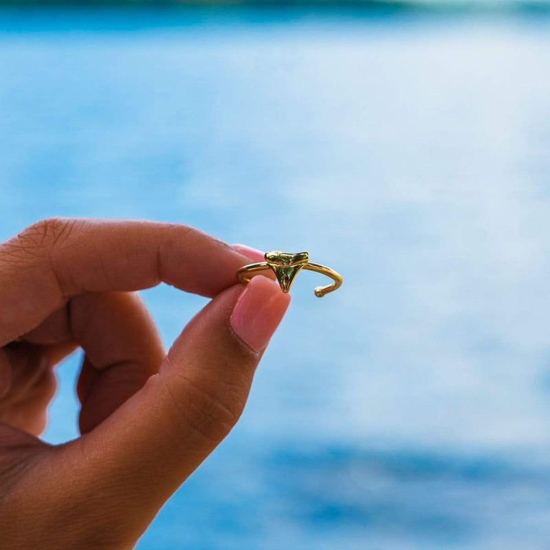 Gold Shark Tooth Ring Displayed By A Hand In Front Of The Ocean